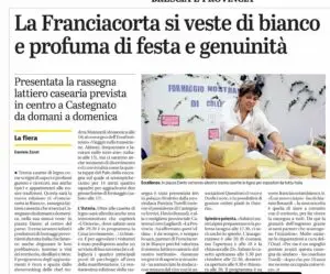 castegnato-servizi-franciacorta-in-bianco-241010